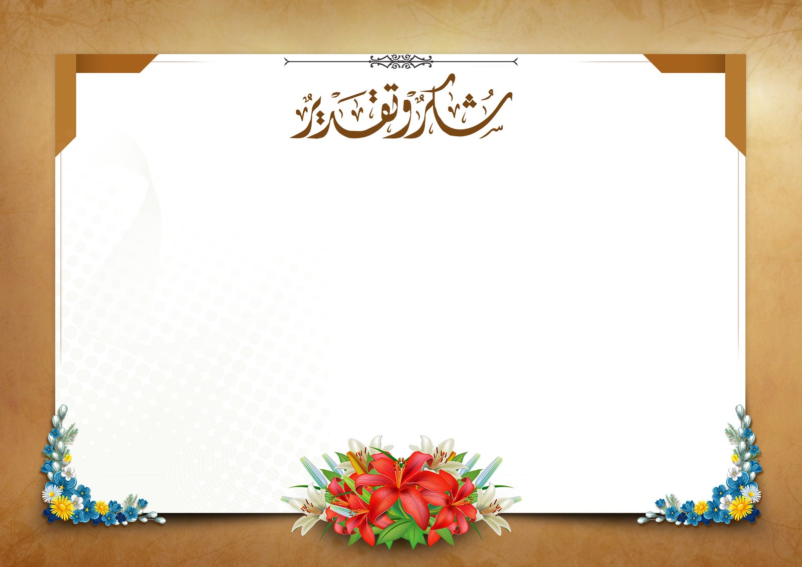 تصميم 11