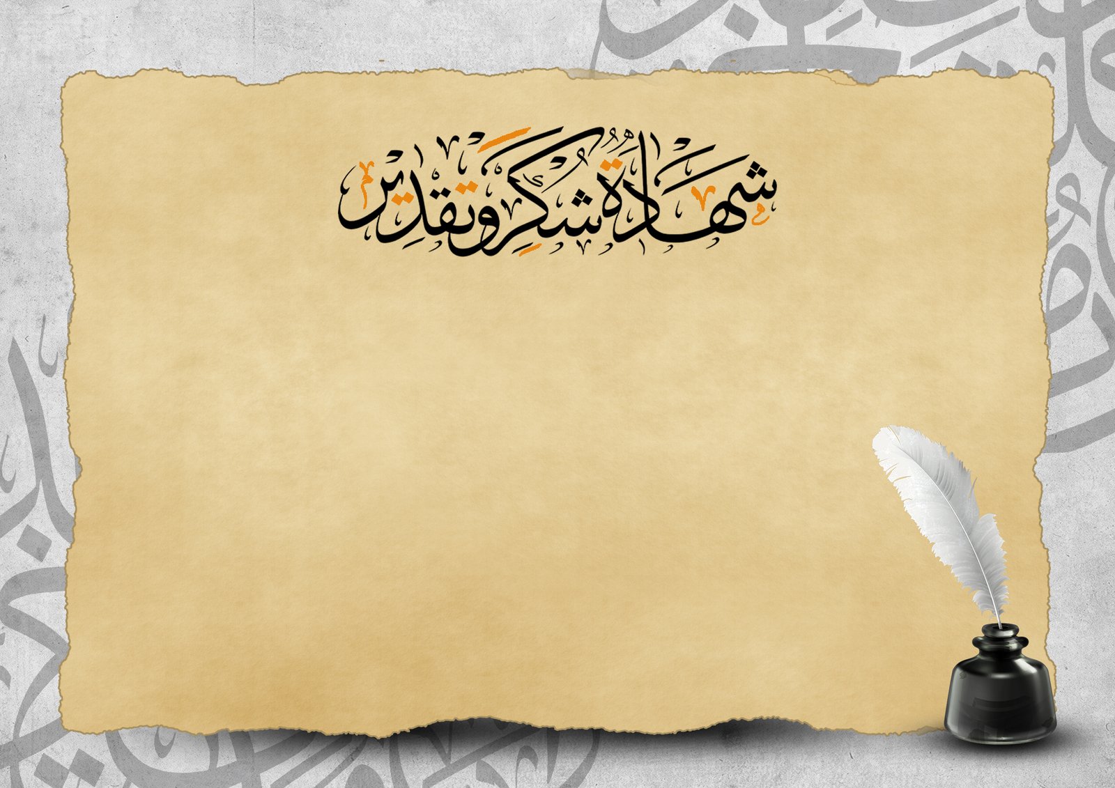 تصميم 16